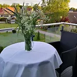 Seestraße Klatschmohn Ostseeheilbad Zingst